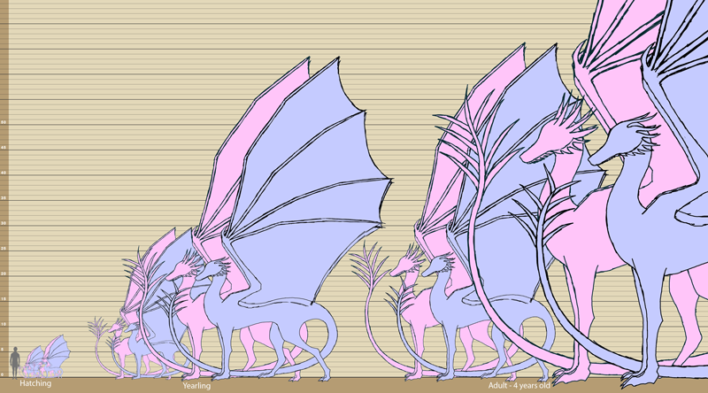 Myrsilk Growth Chart